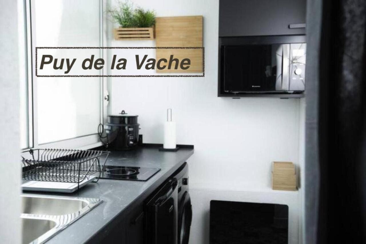 Logements Chaine Des Puys Avec Garages Attenants Clermont-Ferrand Zewnętrze zdjęcie